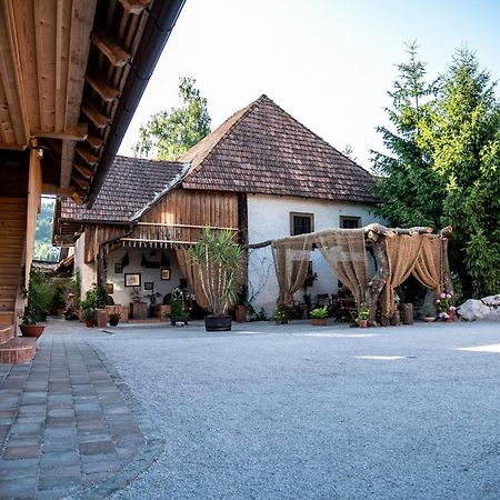 Resort Hisa Ida - Apartments With Hot Tub And Sauna Ivancna Gorica Екстер'єр фото